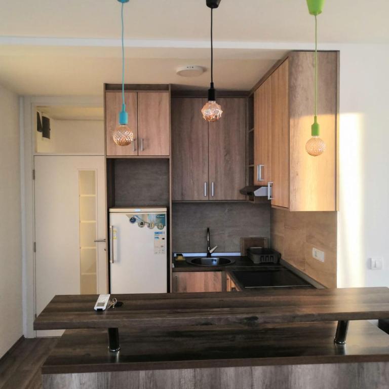 Banjica Stan 203 - Apartman sa 2 Spavaće Sobe - 8