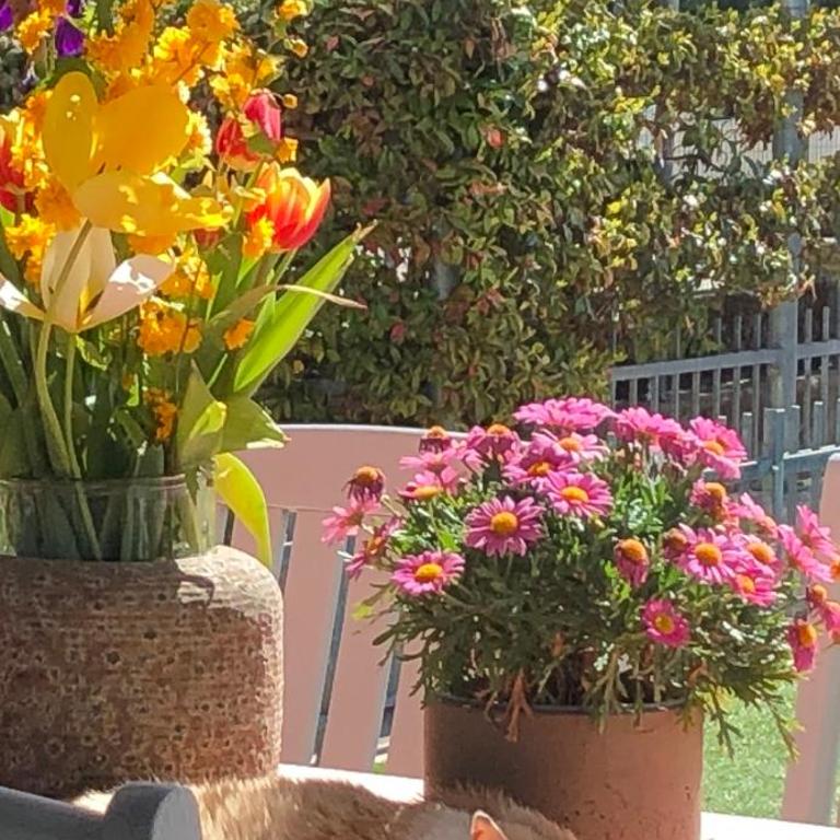 ElleCi Casa Vacanze - Apartamento de 1 dormitorio - 68