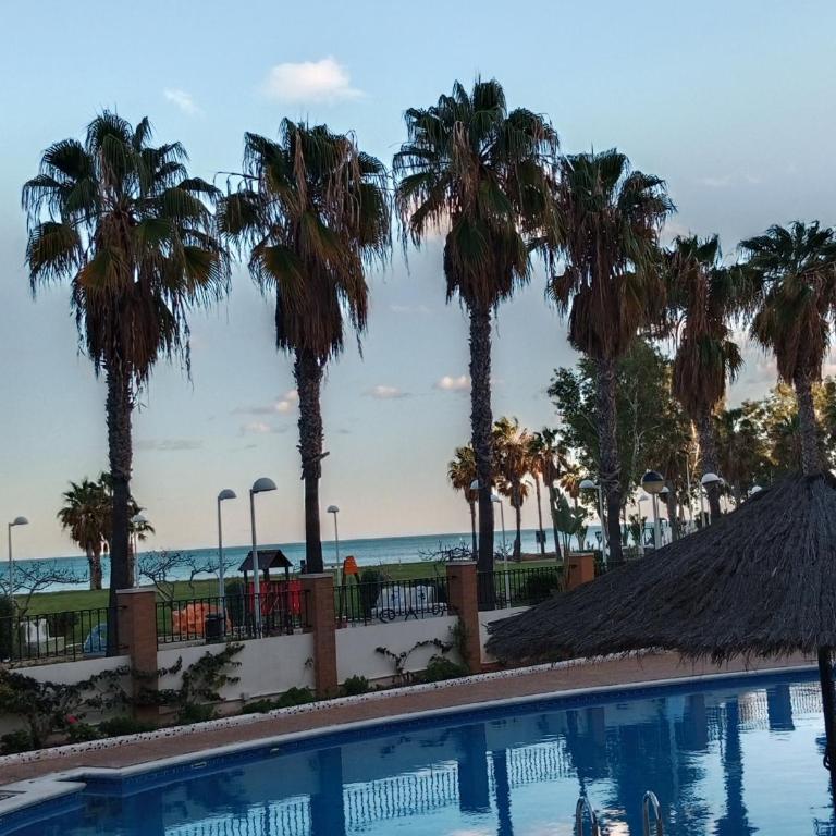 Marina Dor 1ª línea de playa Costa Marina II - Apartamento de 2 dormitorios - 33