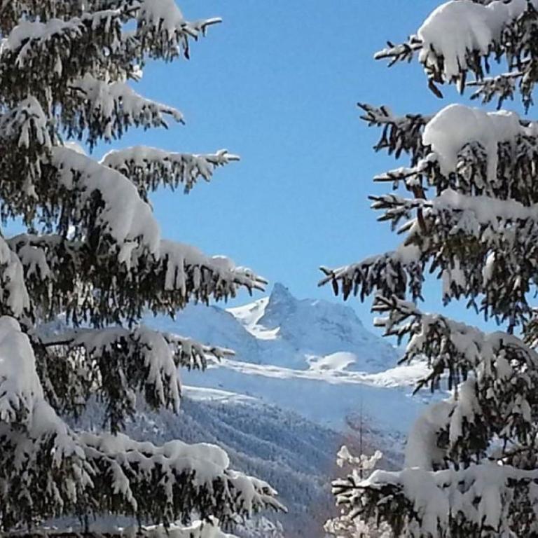 Monte Rosa Apartments Täsch - Apartamento de 2 dormitorios - 27