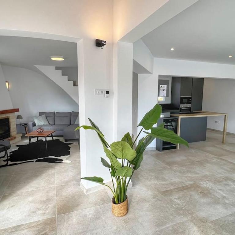 Villa Fiorentino - Villa con piscina privada - 20
