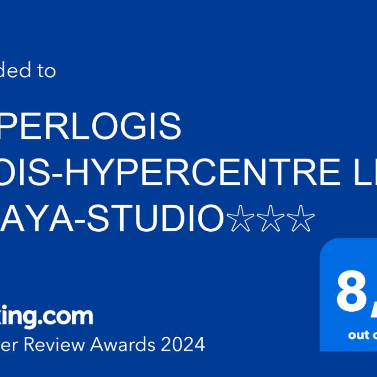 SUPERLOGIS BLOIS-LE PITAYA- HYPERCENTRE STUDIO- Classé 3Etoiles - Superior Studio - 10