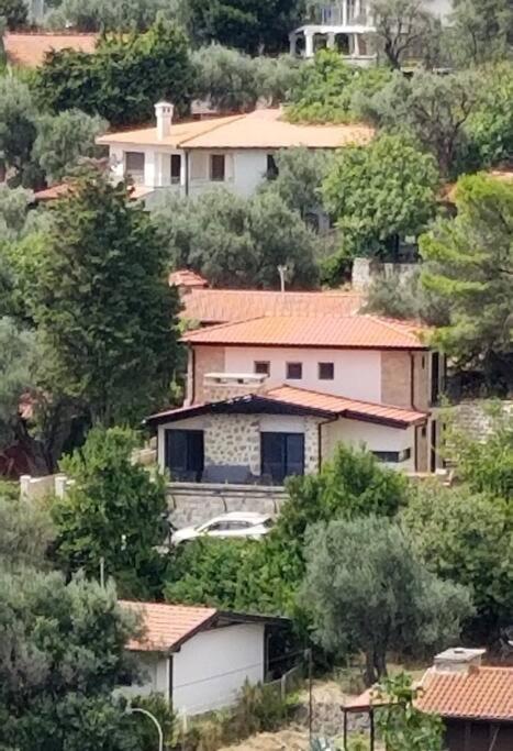 Villa Dream - Villa - 7