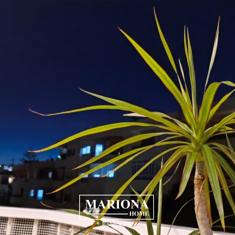 Apartamento Mariona Home - Apartamento de 3 dormitorios - 39