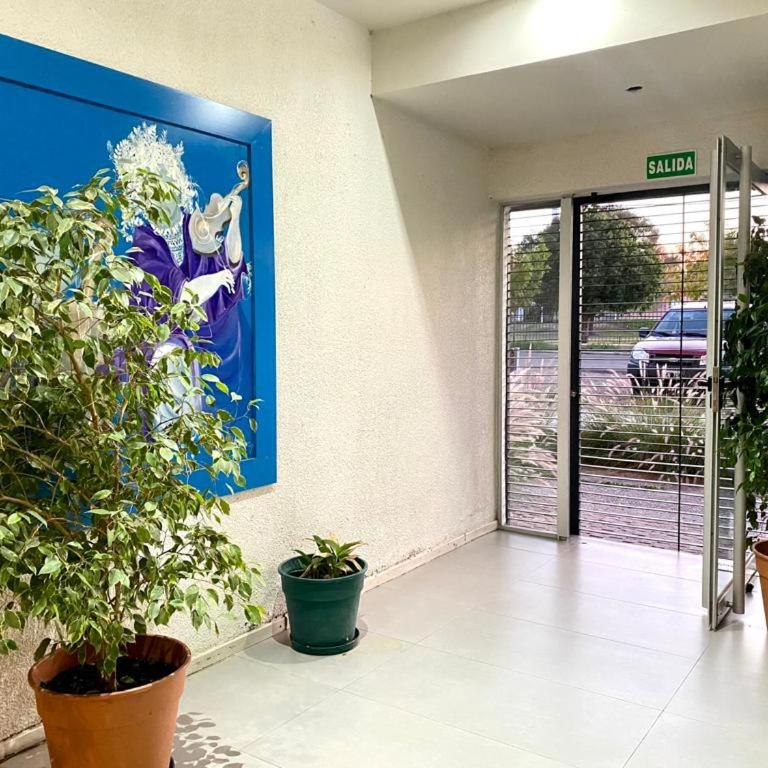 Excelente Ubicación frente a Palmares- para 4 pers- wifi-estacionam- aire acond - Apartamento de 1 dormitorio - 9