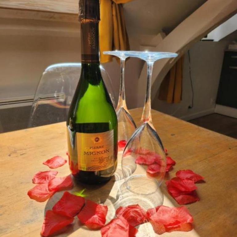 La panthère rose - Appartement 1 Chambre - 2
