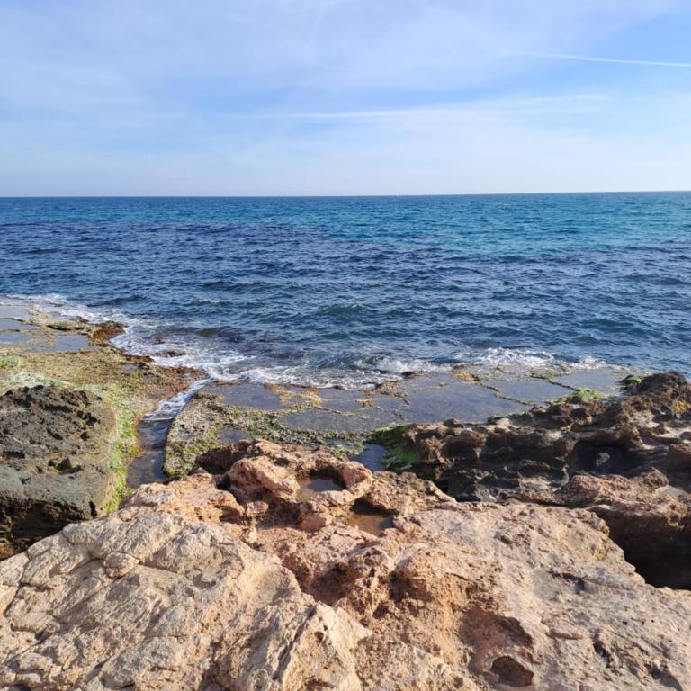 Apartment TIMI near center and beach - Apartamento de 1 dormitorio - 22