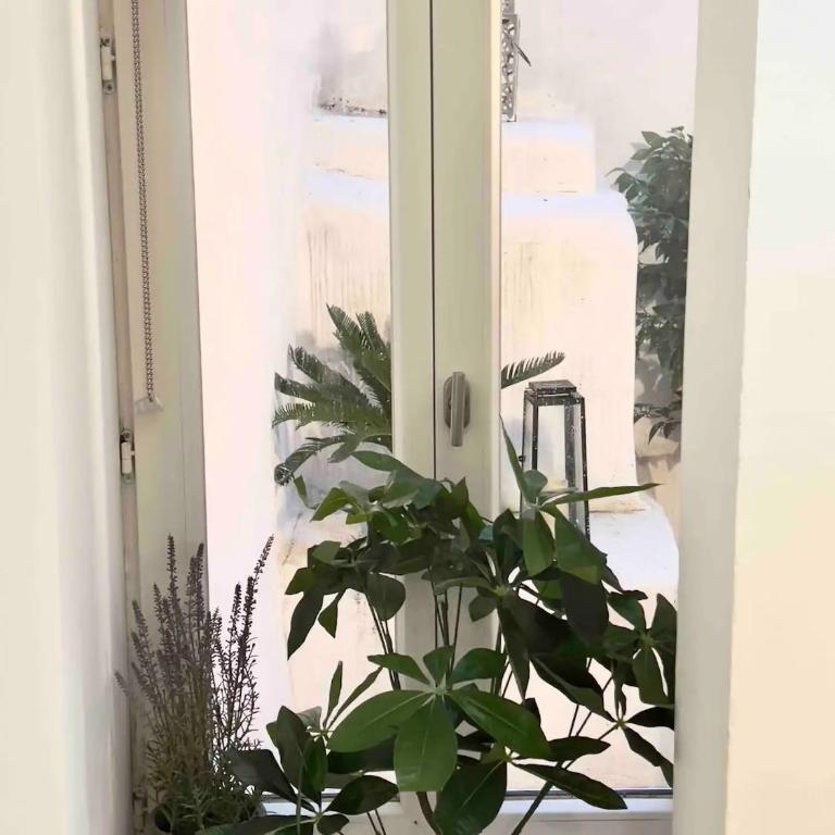 Le Petit Patio - Apartment with Terrace - 24