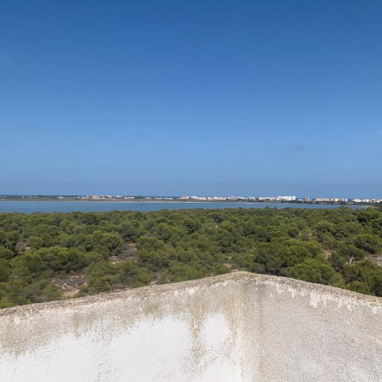 Beau et paisible T4 torrevieja - Apartamento de 3 dormitorios - 22