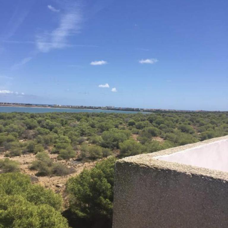 Beau et paisible T4 torrevieja - Apartamento de 3 dormitorios - 25