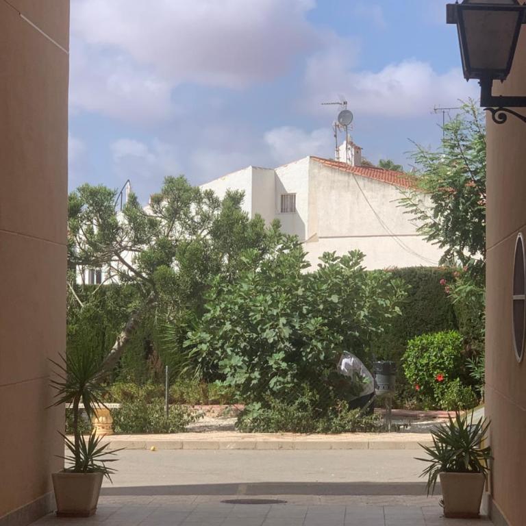Beau et paisible T4 torrevieja - Apartamento de 3 dormitorios - 21