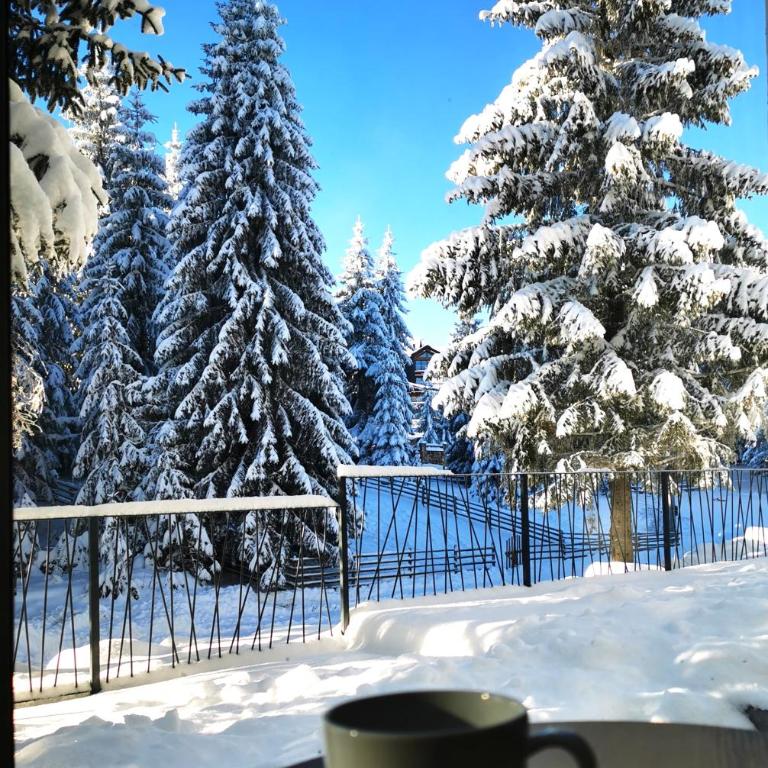 PineTree Jahorina - One-Bedroom Apartment - 3