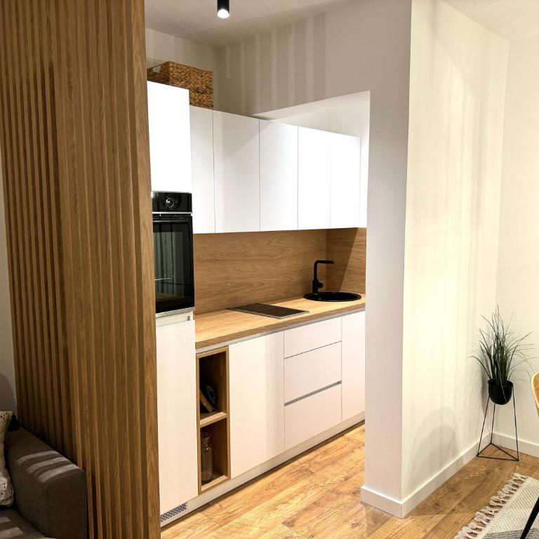 PineTree Jahorina - One-Bedroom Apartment - 13