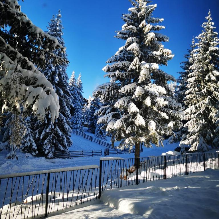 PineTree Jahorina - One-Bedroom Apartment - 2