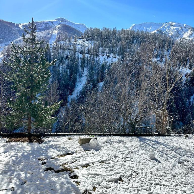 Ecrin Alpin hyper centre d'Auron - Appartement 2 Chambres - 11