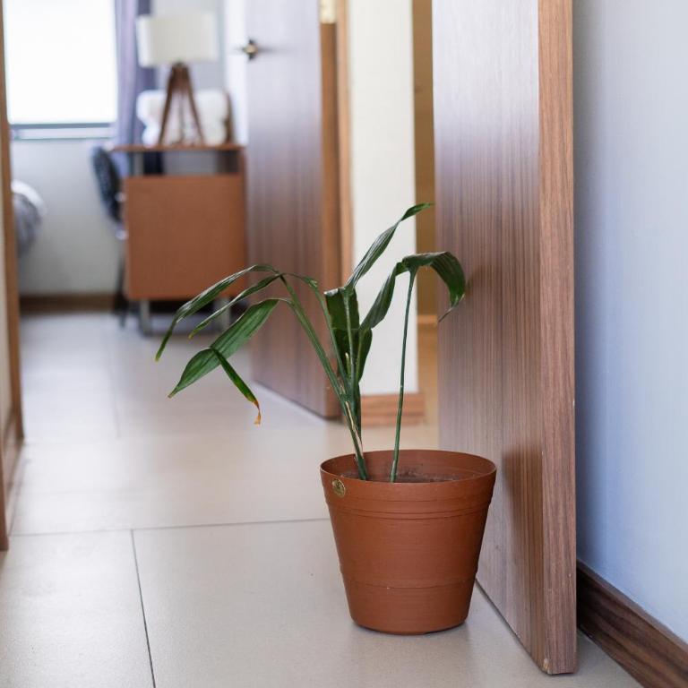 Departamento Corazón de Guadalajara, 4 camas, Rooftop, Wifi - Two-Bedroom Apartment - 16