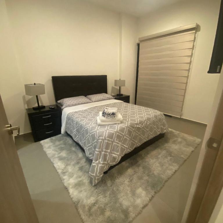 Condo in El Centro Near Malecon! - Two-Bedroom Apartment - 13
