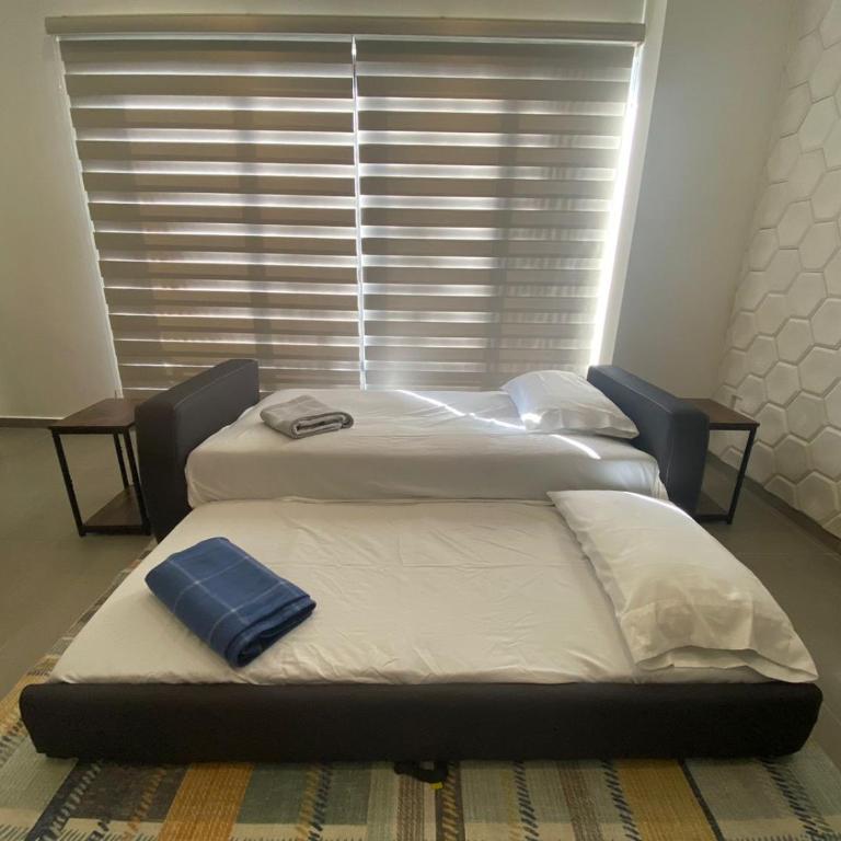 Condo in El Centro Near Malecon! - Two-Bedroom Apartment - 6