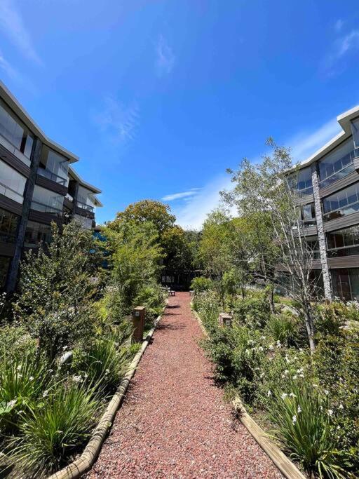 Precioso con jardin, amplio y central en Pucón - Apartamento de 2 dormitorios - 7
