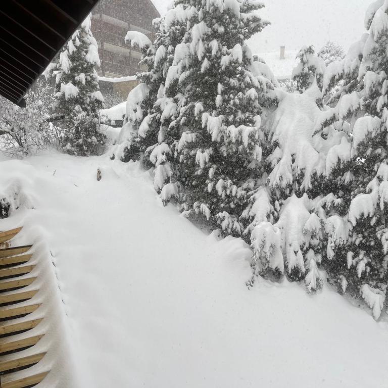 Serre Chevalier Studio 30 m2 coin montagne à 8 Minutes des Pistes - Appartement 1 Chambre - 7