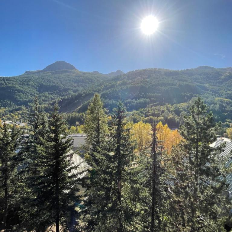 Serre Chevalier Studio 30 m2 coin montagne à 8 Minutes des Pistes - Appartement 1 Chambre - 10