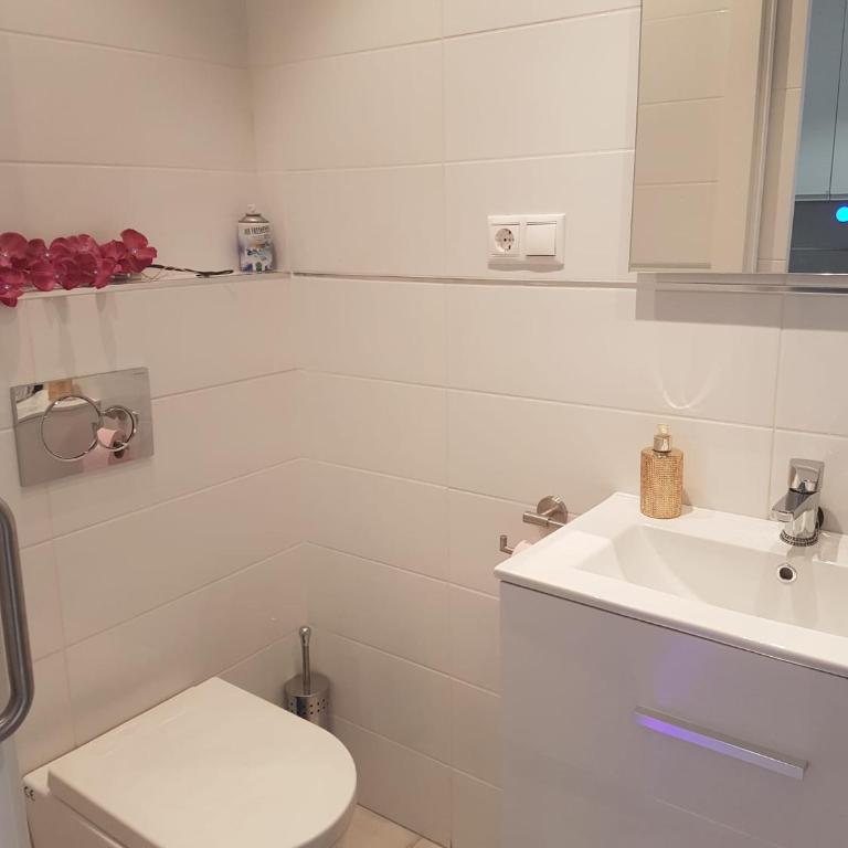 Town house La Mata - Apartamento de 2 dormitorios - 8