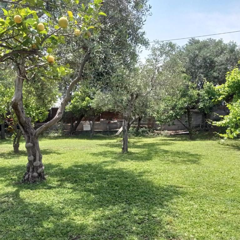 Ai tre desideri la casita - Casa con 1 Camera da Letto - 20