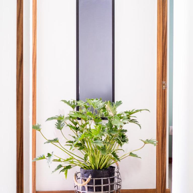 Excelente Ubicación en Colonia Americana - Two-Bedroom Apartment - 45