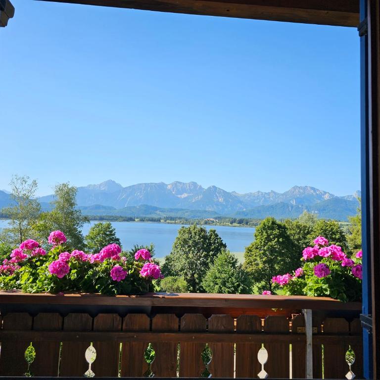 Landhaus Amberg Hopfen am See // Hopfensee // Füssen - Apartment mit 1 Schlafzimmer - 21