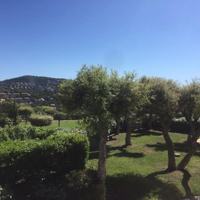 Beau 2 pièces, Magnifique vue mer et piscine - Appartement 1 Chambre - 30
