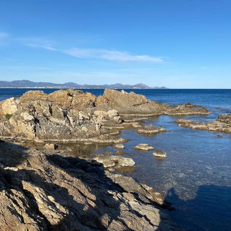 Beau 2 pièces, Magnifique vue mer et piscine - Appartement 1 Chambre - 39