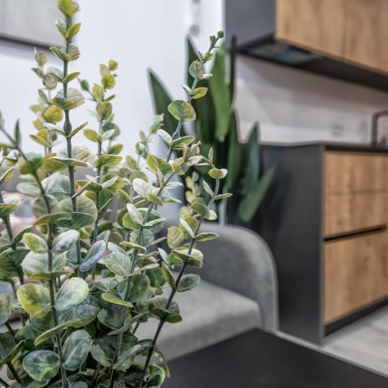 Garesc Lofts - Loft - 7