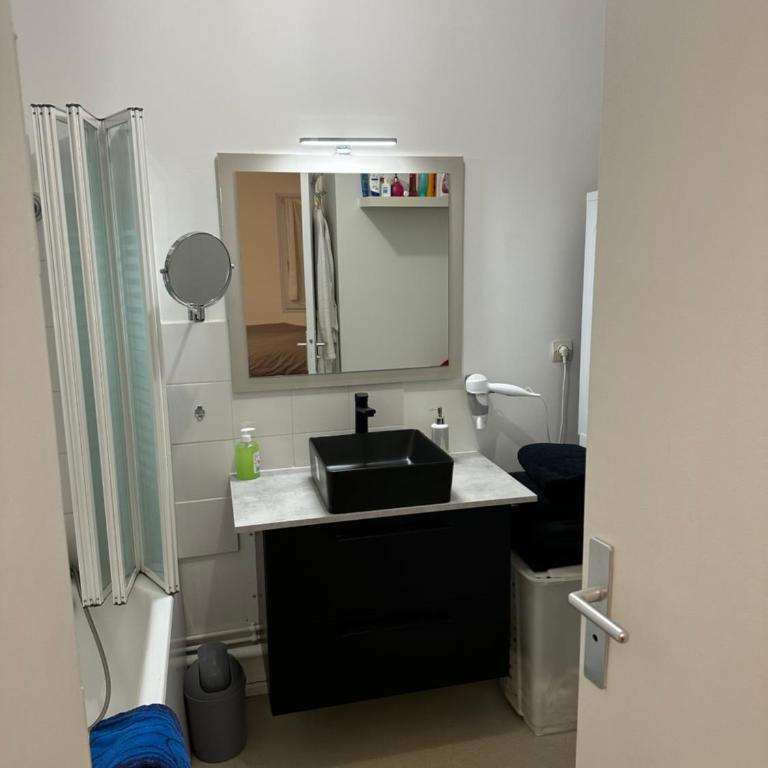 Appt entier MONPARNASSE avec TERRASSE et PARKING - One-Bedroom Apartment - 4