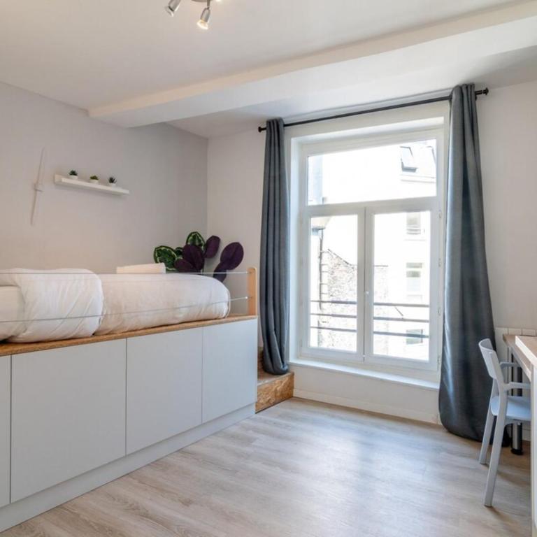 Lille Hypercentre/Railway stations -Nice studio - Appartement - 9