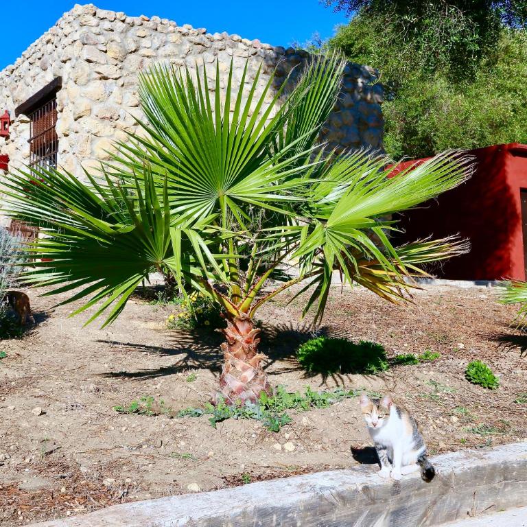 Idyllisches Steinhaus in traumhafter Lage - Casa el Abejaruco - Casa de 3 dormitorios - 20