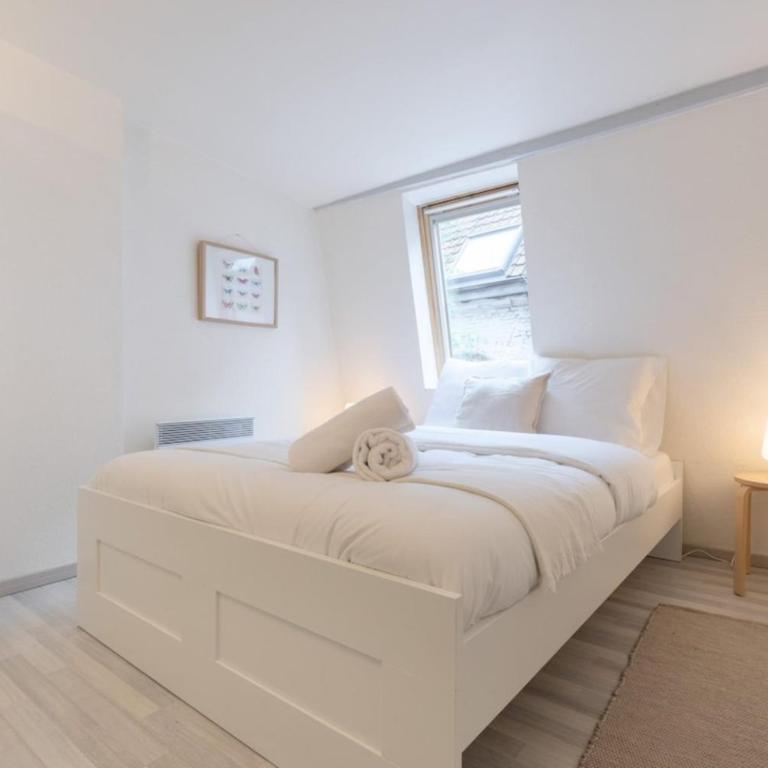 Vieux Lille bright duplex ! 3pers - Apartment - 8