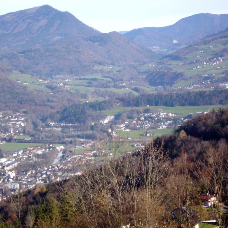 Ferienwohnung Löffelberger - Apartment mit 1 Schlafzimmer, Balkon und Bergblick - 28