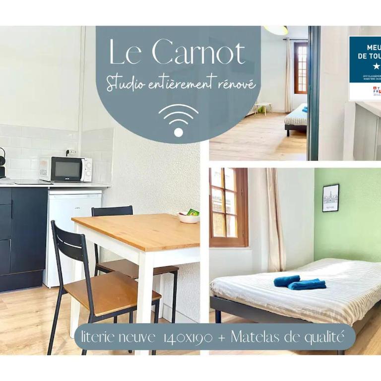 Le Mélusine , à 50m de la gare de Poitiers - Appartement 1 Chambre - 1