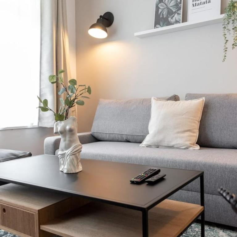 Lille Centre - 2BR in the heart of Lille! - Appartement 2 Chambres - 7