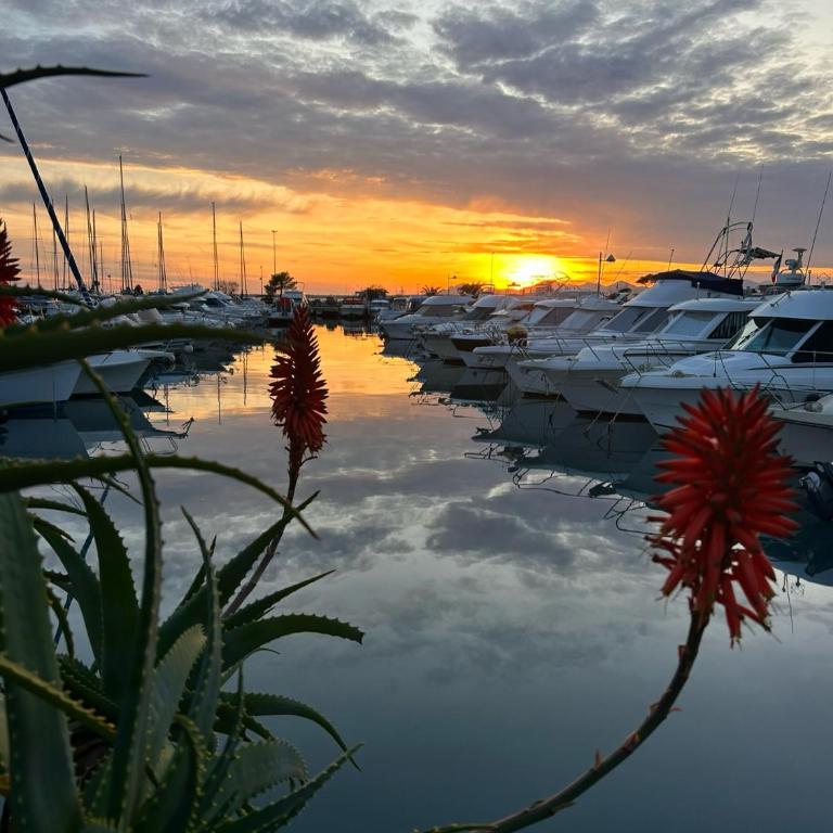Cozy 1 bedroom apartment Antibes Juan-les-Pins - walk to beaches, restaurants, old town - Appartement 1 Chambre - 30