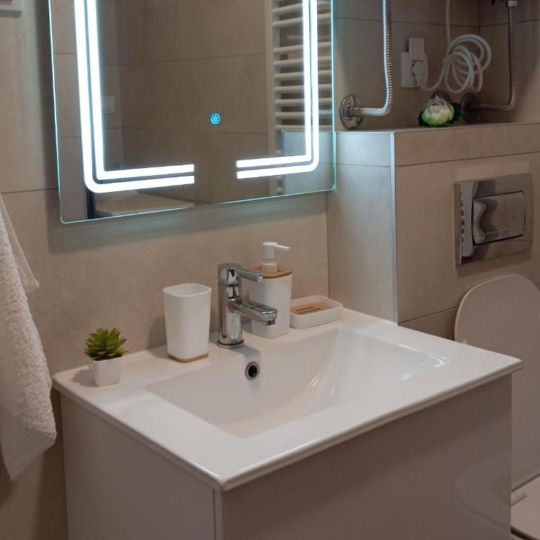 Tera apartment Zemun - Apartman sa 1 Spavaćom Sobom - 7