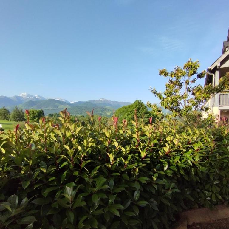 Appartement 3 étoiles, 2 chambres , cuisine aménagée, terrasse, face à la chaîne des Pyrénées - Appartamento con 2 Camere da Letto - 26