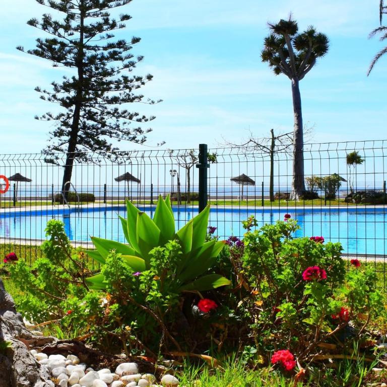 Luminoso estudio en Castillo Santa Clara - Apartamento de 1 dormitorio - 29