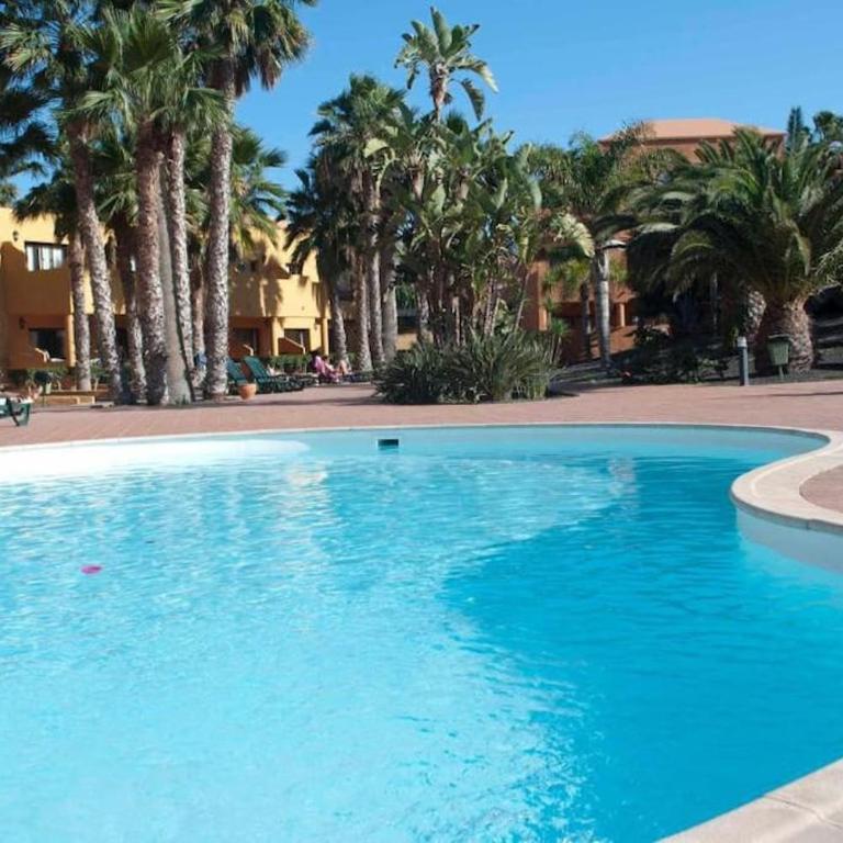Oasis Royal - Apartamento de 1 dormitorio - 1