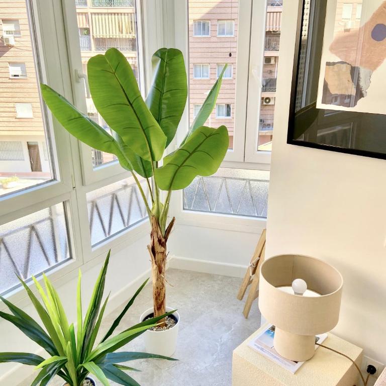 Amplio apartamento en el centro de Málaga - Apartamento de 3 dormitorios - 32