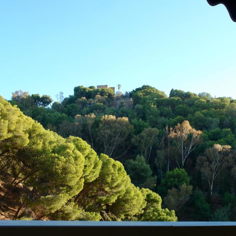 Large appartement with great views - Apartamento de 2 dormitorios - 61