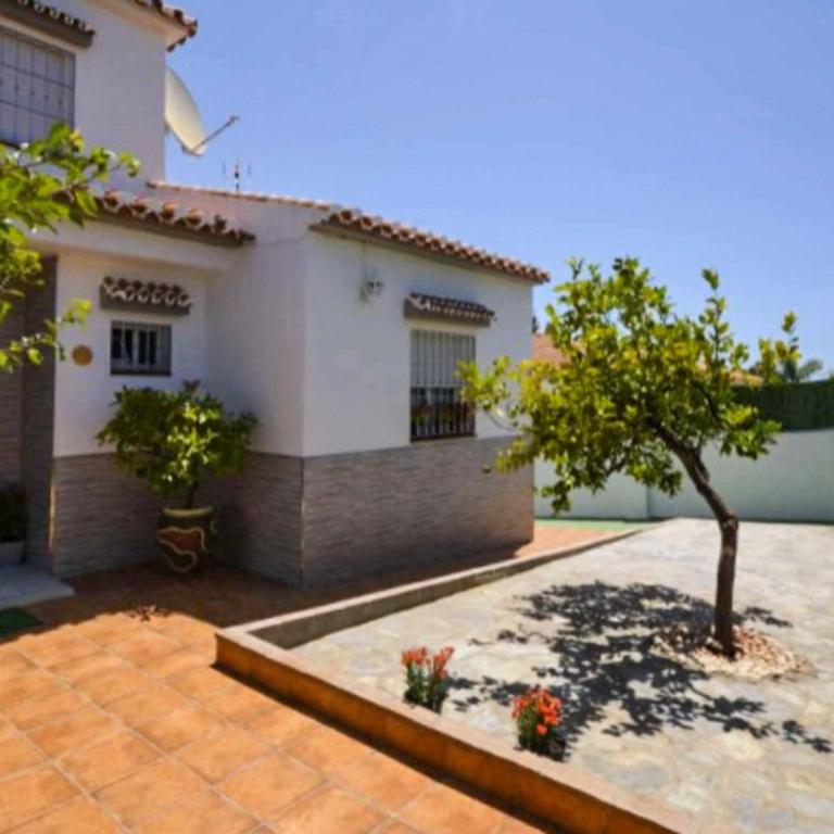 Villa Ana Exotica - Villa de 4 dormitorios - 5