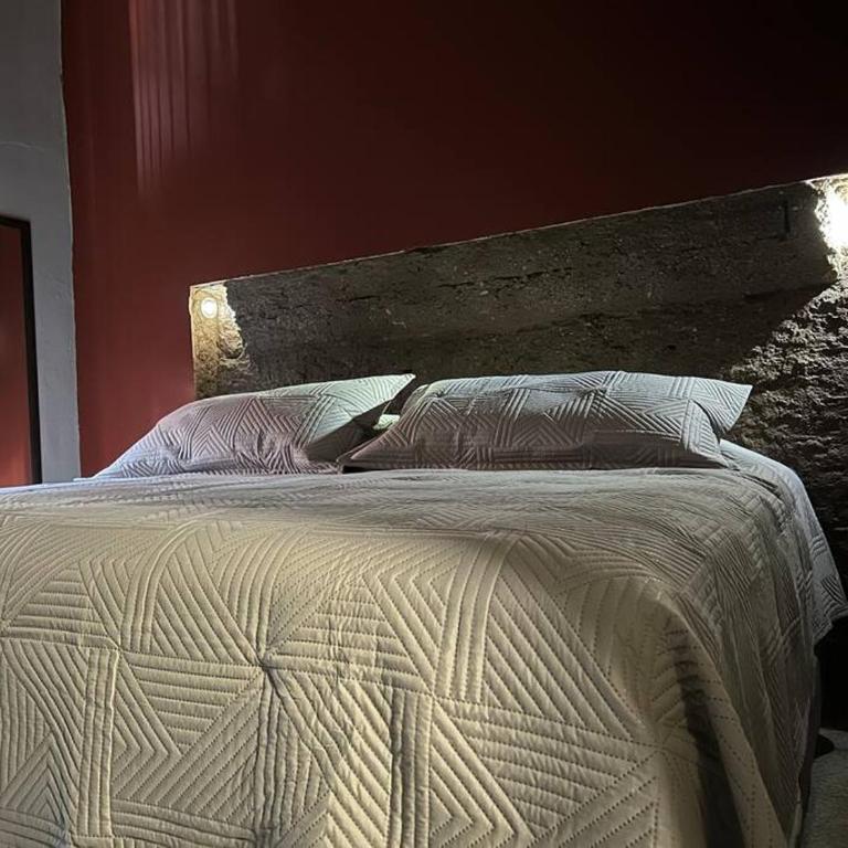 Alojamiento Suite con Aire Acondicionado y Estacionamiento ubicado a 1 cuadra del Parian en Centro Tlaquepaque Privada e Independiente - One-Bedroom Apartment - 23