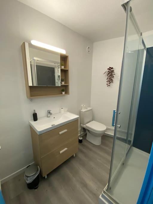 Krutenau Lifestyle, nid pour couple, cœur de Strasbourg - One-Bedroom Apartment - 11