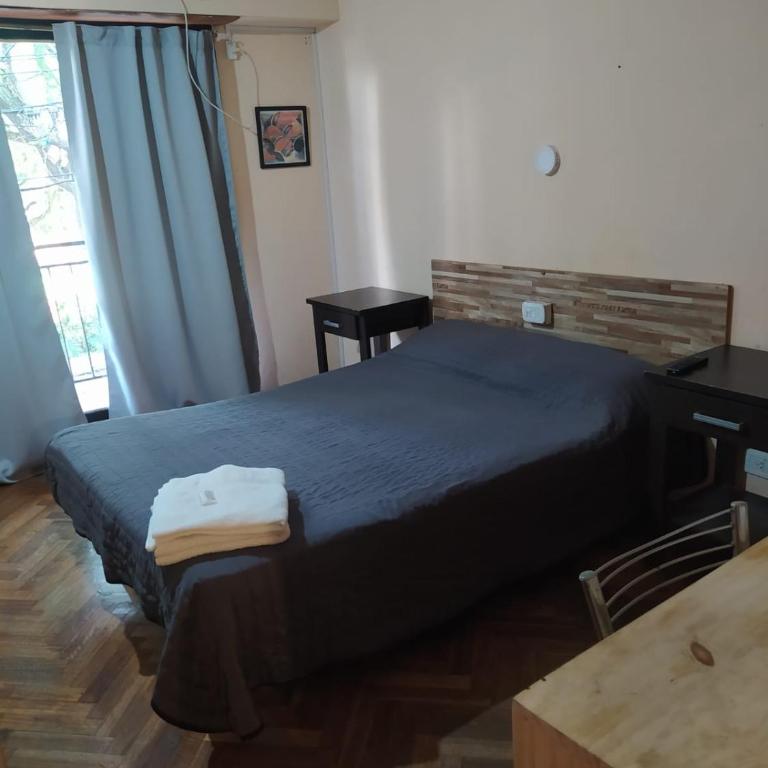 Hotel Manzanares Plaza - Habitación con cama grande - 1